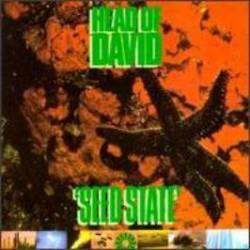 Head Of David : Seed State
